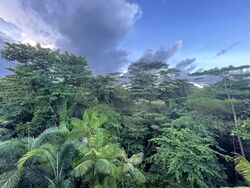 The Peak@Balmeg (D5), Condominium #466515861